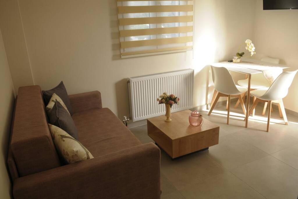 Lividio Apartment Lefkáda Dış mekan fotoğraf